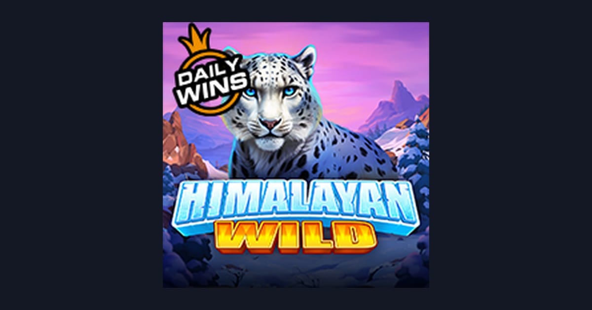 Himalayan Wild, Slot Anti Rungkad dengan Kemenangan Besar dari Pragmatic Play